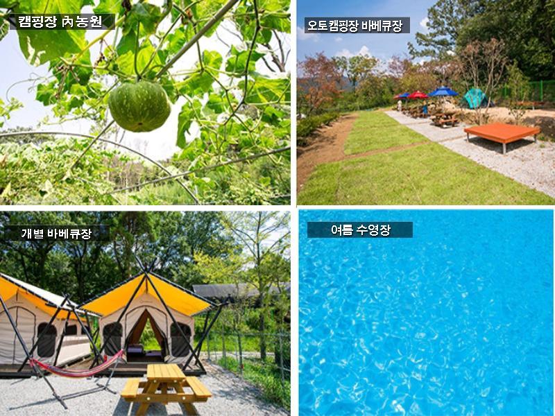 Bukhan Mountain Glamping Luxury tent *